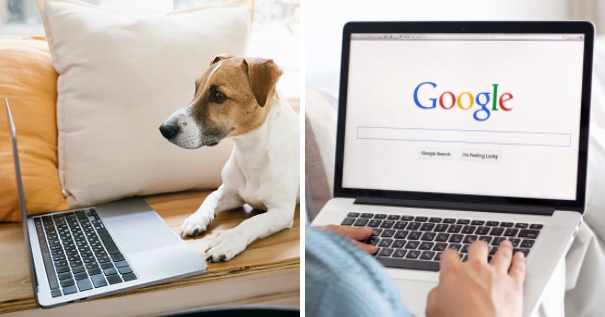 (L) Serious dog using laptop working remotely online, (R) Man sitting with site Google on screen. (Representative Cover Image Source: Getty Images | (L)Fly_dragonfly, (R) Prykhodov)