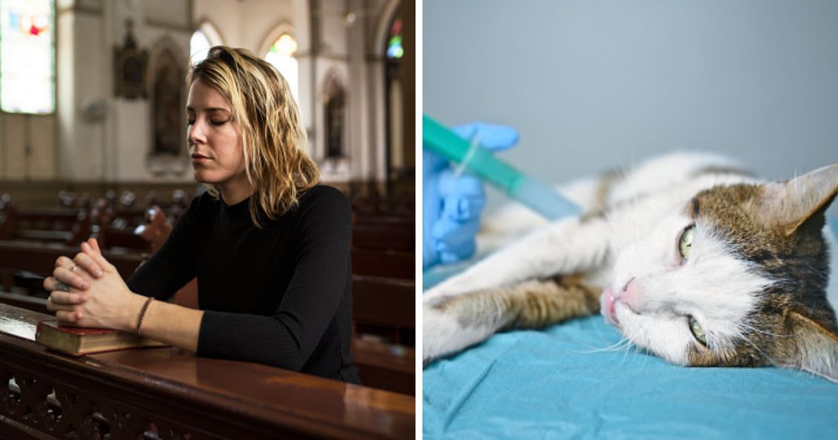 (L) Woman praying in the church, (R) Old tabby cat receives an injection from a veterinarian. (Representative Cover Image Source: Getty Images | (L) Rawpixel, (R) Lightspruch)