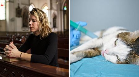 ‘Catholic’ vet’s honest take on euthanizing pets finally answers the question that’s haunted every pet owner for years