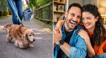 New mom’s dog kept tugging her leash at the same spot during walk — and led her straight to her husband’s secret he’d been hiding for months