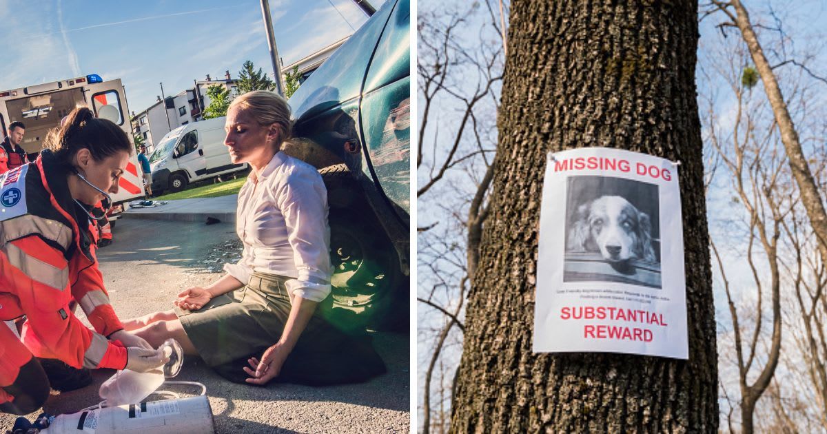 (L) Paramedics providing first aid to injured woman, (R) The poster of the missing dog. (Representative Cover Image Source: Getty Images | (L) simonkr, (R) StockSeller_ukr)