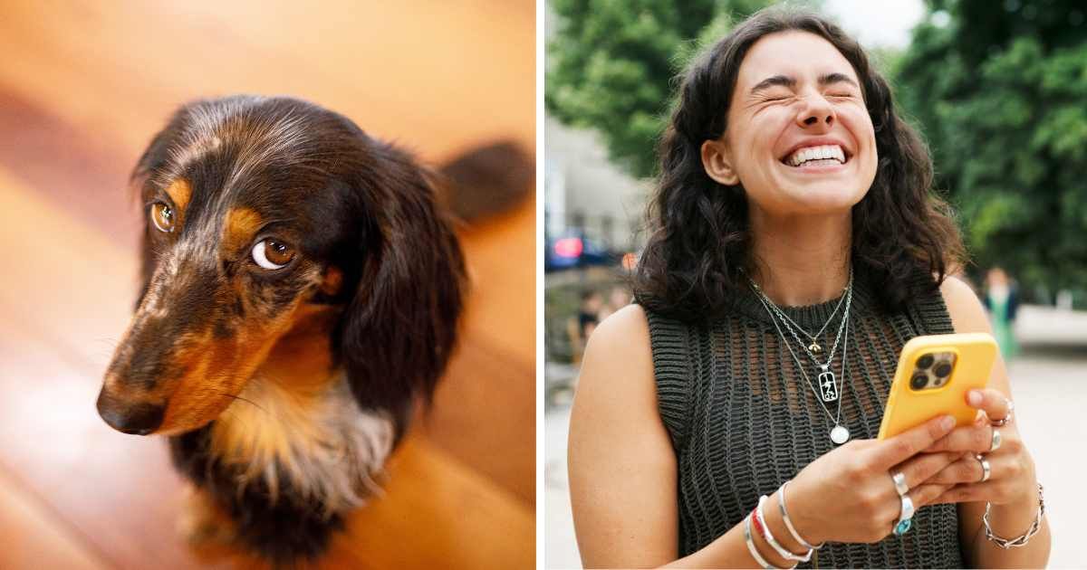 (L) A dachshund giving a side-eye. (R) A woman laughing looking at her phone. (Representative Cover Image Source: Getty Images | (L) Capuski, (R) Tim Robberts)