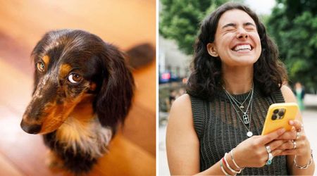 Her Dachshund’s ‘I’m judging you’ photo series has the Internet cracking up — and once you see them, you’ll know why