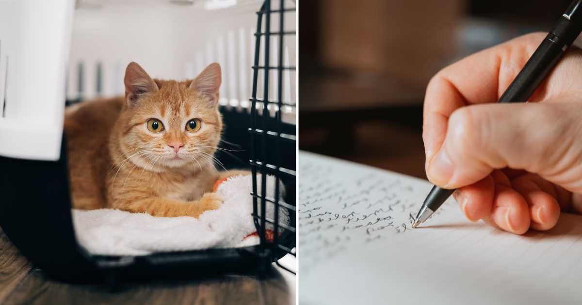 (L) A cat sitting in a crate. (R) A person writing a letter. (Representative Cover Image Source: Getty Images | (L) Viktoriya Skorikova, (R) Jacques Julien)