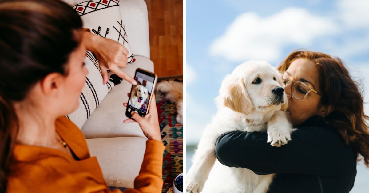 (L) A woman watching a picture of her dog, (R) Woman carrying puppy. (Representative Cover Image Source: Getty Images | (L) Eva Blanco, (R) Johner Images)