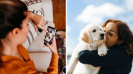 She thought shelter’s photo of a stray dog was a 'mistake' — until one word proved the impossible true, five years after her own went missing