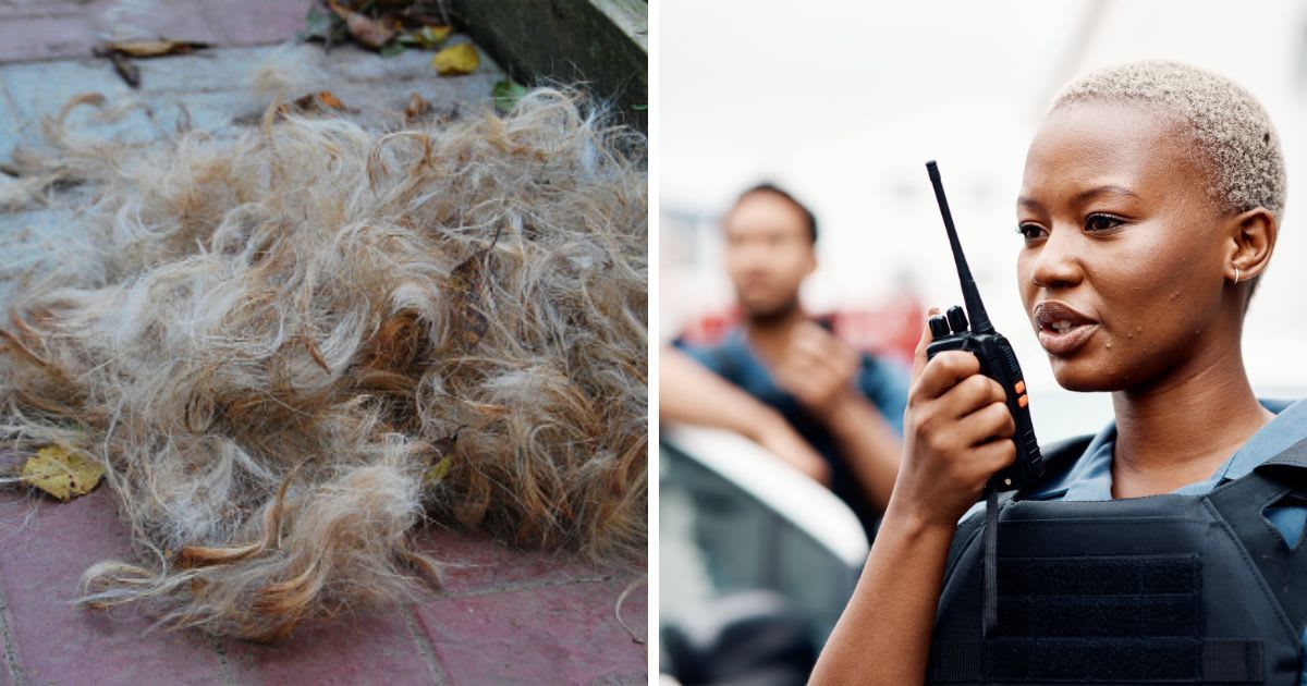 (L) A pile of dog fur, (R) A police and walkie talkie for radio in city. (Representative Cover Image Source: Getty Images | (L)Alla Orlova, (R) Jacob Wackerhausen)