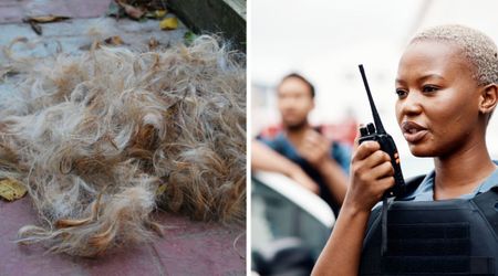 Cop ‘feared the worst’ when she spotted a 'small pile of fur' in the middle of the street — until it moved and she called for backup