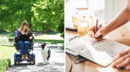 Struggling to walk her dog from her wheelchair, woman with ASL wrote to a pet company for help — their holiday surprise left her speechless