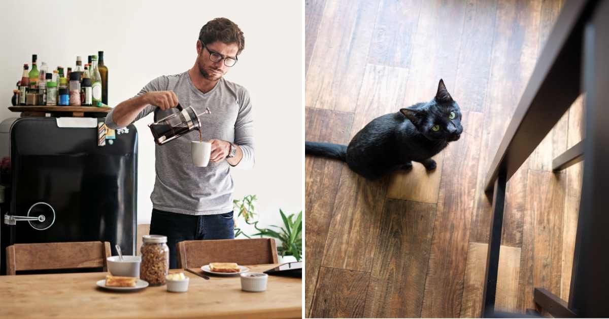 (L) A man pouring coffee in his mug. (R) A cat staring at something. (Representative Cover Image Source: Getty Images | (L) shapecharge, (R) RyanJLane)