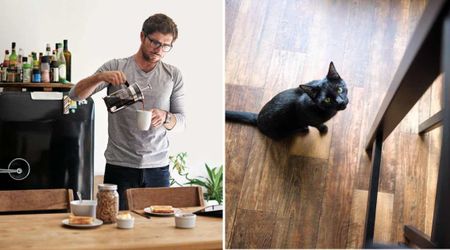 Man saw his cats surrounding the kitchen table while he poured coffee — what he found beneath proved they’d just saved his life again