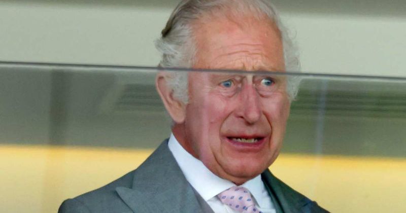 Charles Was ‘Reduced to Tears’ by Public's Reaction to His Cancer Diagnosis, New Book Reveals