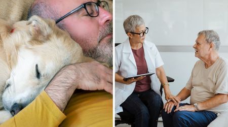  Veteran's Labrador woke him up unusually early and refused to let him go back to sleep — moments later, the chilling reason left doctors stunned