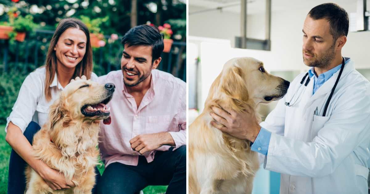(L) A couple petting their dog. (R) A dog at vet clinic. (Representative Cover Image Source: Getty Images | (L) Violeta Stoimenova, (R) Tashi-Delek)