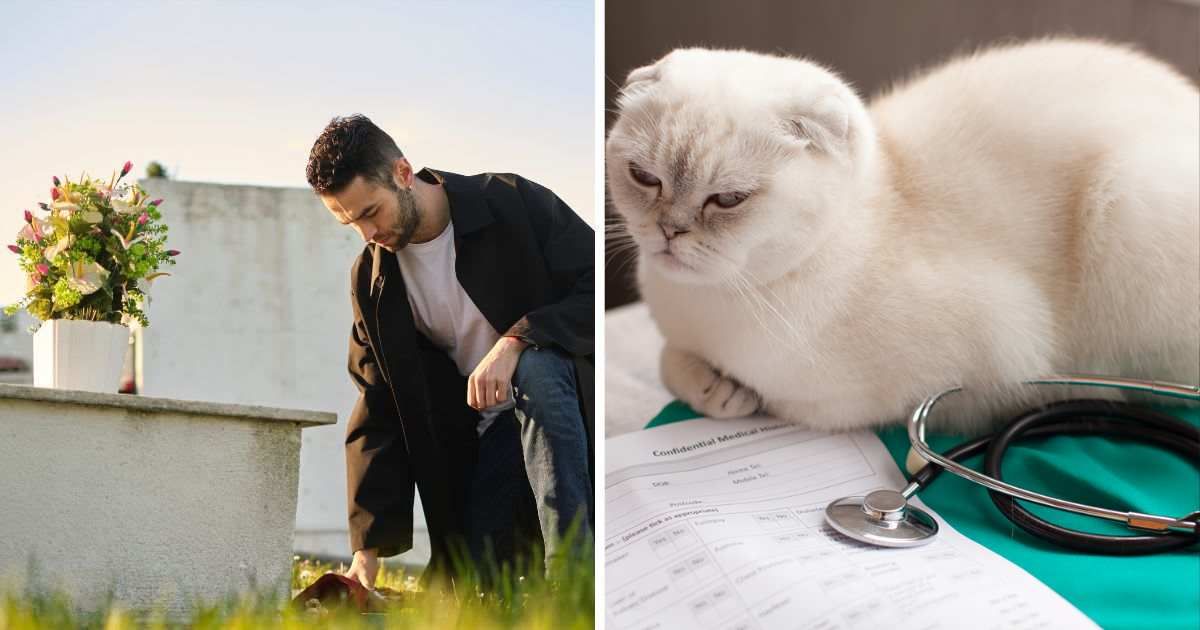(L) Sad man bringing flowers at the cemetery, (R) Cat waits to see the veterinarian. (Representative Cover Image Source: Getty Images | (L) Mara Valderrey, (R) Lashkhidzetim)