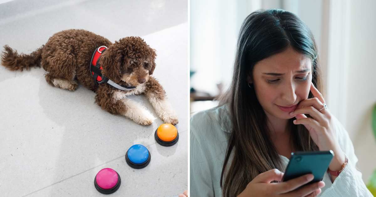 (L) Pet dog using talking buttons. (R) A sad woman looking at her phone. (Representative Cover Image Source: Getty Images | (L) Capuski, (R) Bevan Goldswain)