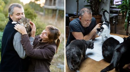 Couple house-sitting friend’s 4 cats were relieved when the missing one was found — until a week later, when the count mysteriously rose to 5