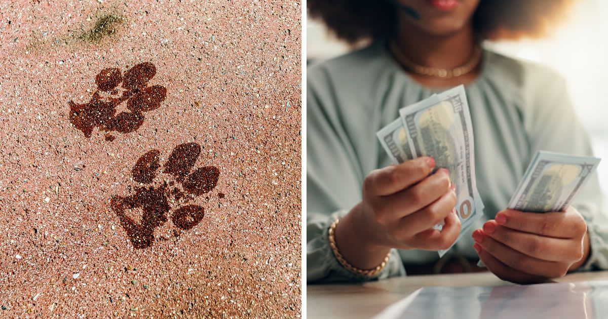 (L) Paw prints on sand, (R) Woman paying money. (Representative Cover Image Source: Getty Images | (L)Cavan Images, (R) Jacob Wackerhausen)
