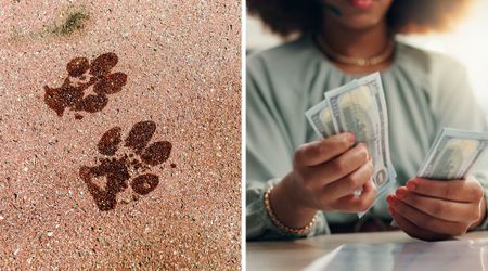 Woman felt guilty for complaining about paying extra for her late cat’s paw print, until others saw it — and were horrified too