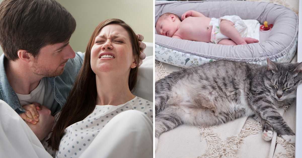 (L) Man holding woman's hand in labor. (R) A cat sleeping next to a newborn baby. (Representative Cover Image Source: Getty Images | (L) Jose Luis Palaez Inc, (R) Andrey Zhuravlev)
