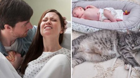 Woman looked back at her home-birth photos — and her 10-year-old cat’s unexpected reaction during her contractions left her in tears