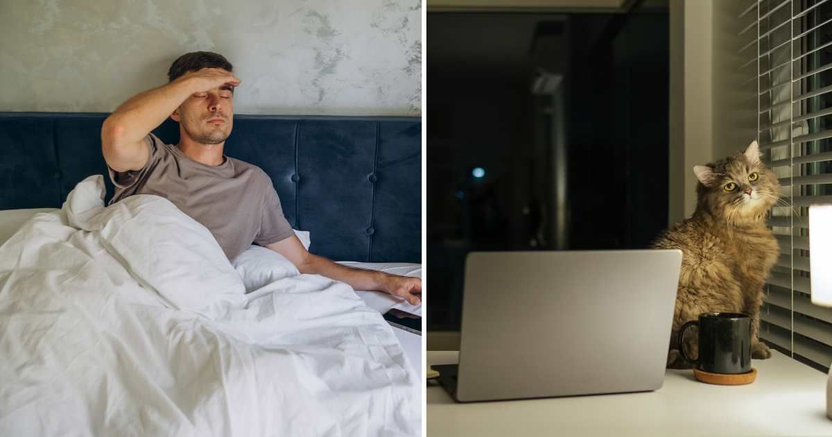 (L) A man woke up from sleep. (R) A cat sitting next to laptop. (Representative Cover Image Source: Getty Images | (L) Ekaterina Vasileva Bagler, (R) Aum racha)