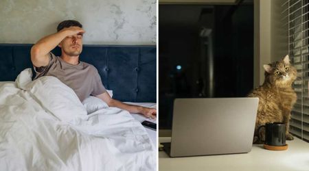 Man was jolted awake when his cat knocked over a laptop in the middle of the night — minutes later, he realized the pet had saved his family’s lives