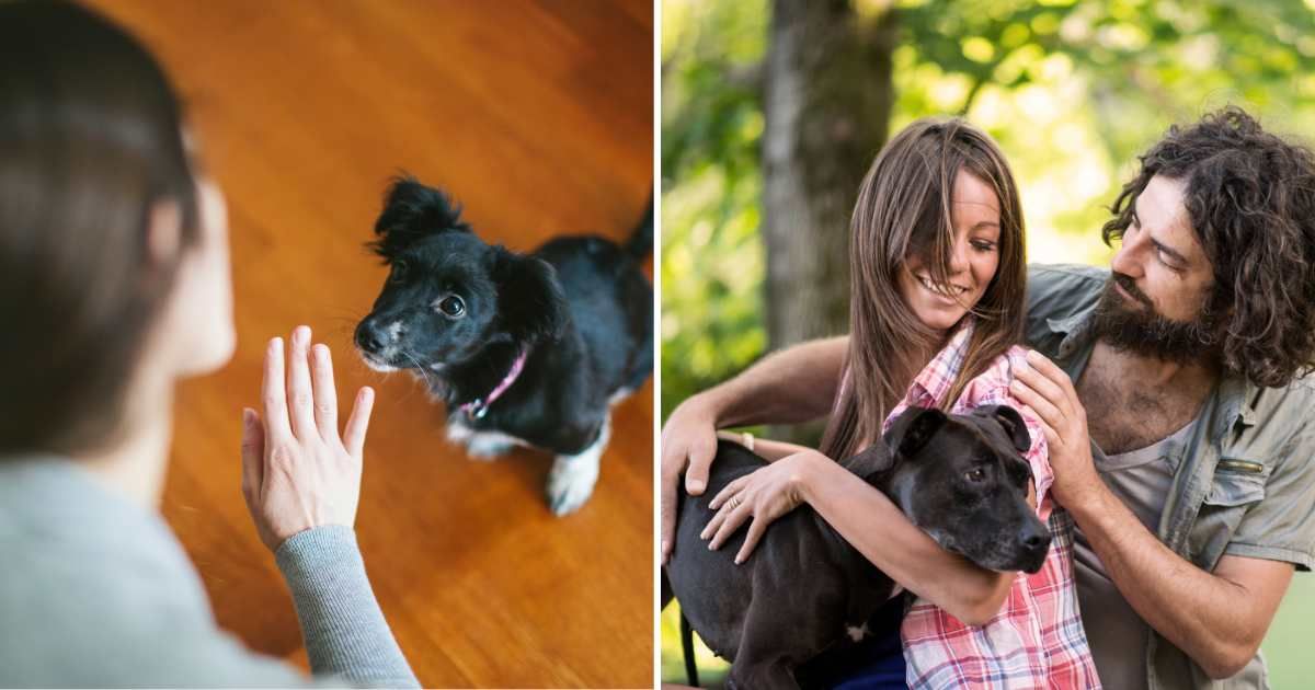 (L) A woman commanding a dog. (R) A couple with a dog. (Representative Cover Image Source: Getty Images | (L) Thanasis Zovoilis, (R) ilbusca)