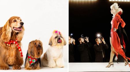 Famed fashion designer sent gorgeous models down the runway carrying puppies — and the beautiful motive left viewers in awe