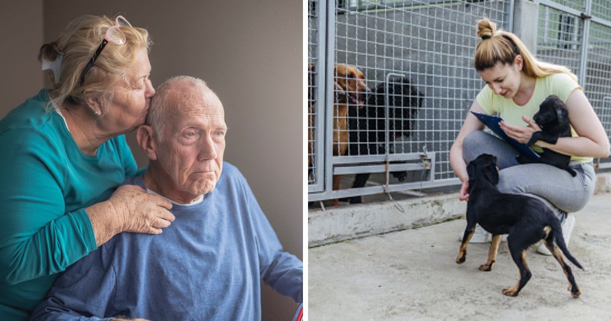 (L) At Home Care Giver, (R) Young woman in animal shelter. (Representative Cover Image Source: Getty Images | (L) LPETTET, (R) mladenbalinovac)