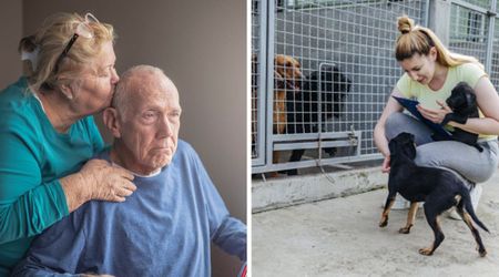 83-year-old died before court ruled on his $60,000 scam — but the dog shelter that got his money kept his memory alive in a deeply touching way