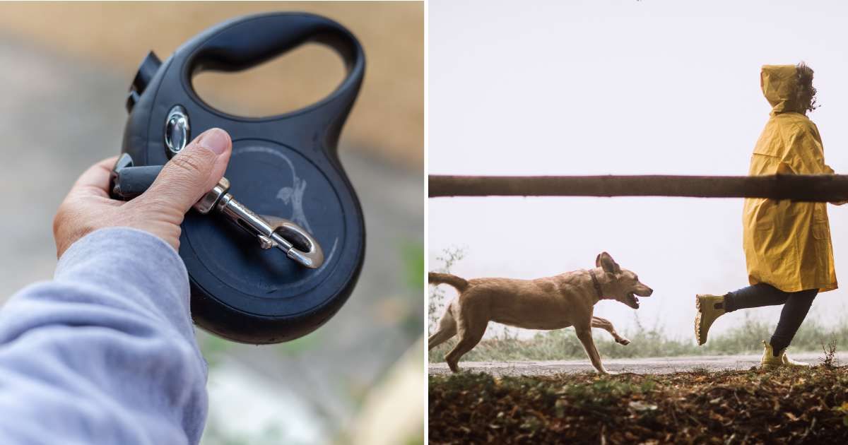 (L) Extendable dog leash. (R) Dog playing with woman. (Representative Cover Image Source: Getty Images | (L) mjrodafotografia, (R) Pekic)