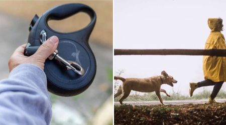 Smart pet technology launches a new ‘wireless leash system’ that keeps your dog safely following you anywhere you go