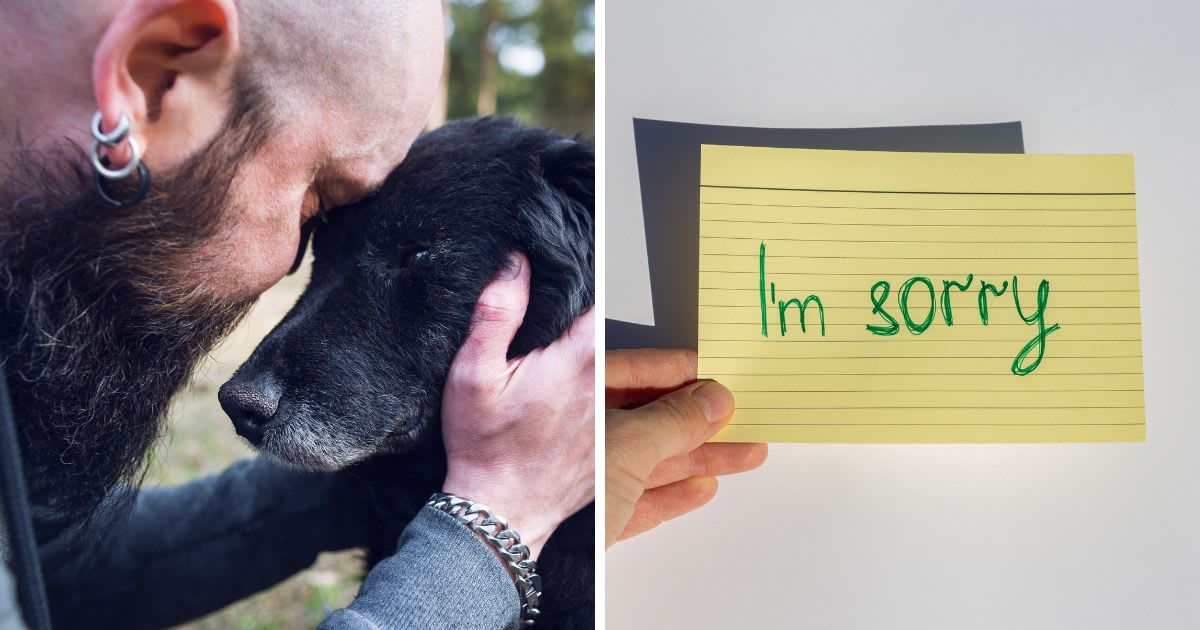 (L) Man embracing his old sick dog and crying, (R) Hand holding a note 'I'm sorry' (Representative Cover Image Source: Getty Images | (L) StudioMikara, (R) Iuliia Bondar)