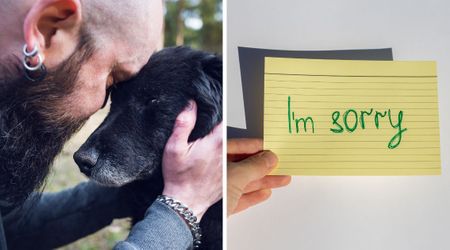 Vet's heartfelt advice to stop saying 'I'm sorry' to your pets before their passing — say this instead