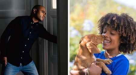 A father woke at 3 a.m. to find the front door open and his autistic son and dog missing — hours later, what rescuers found left the family in tears