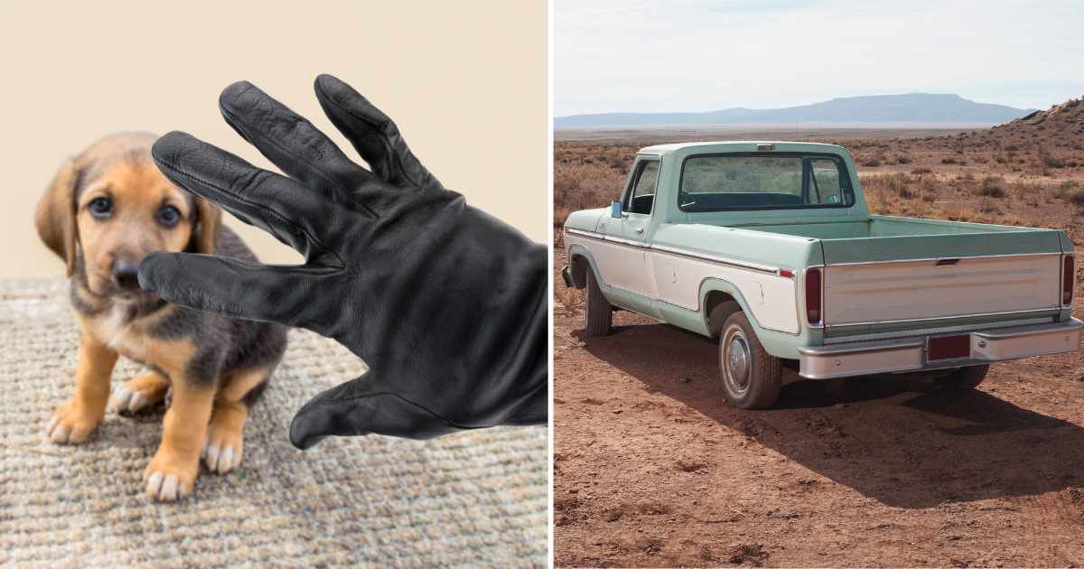 (L) A man stealing a dog. (R) A truck in a rocky deserted area. (Representative Cover Image Source: Getty Images | (L) Manuel F-O, (R) David Engelhardt)