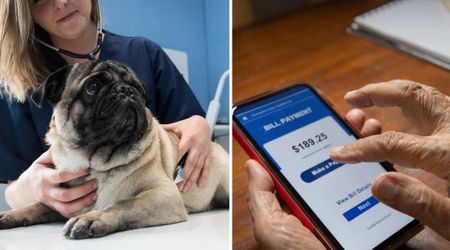New AI tool can predict your pet’s annual vet bills before they happen — and the estimates are eye-opening for many owners