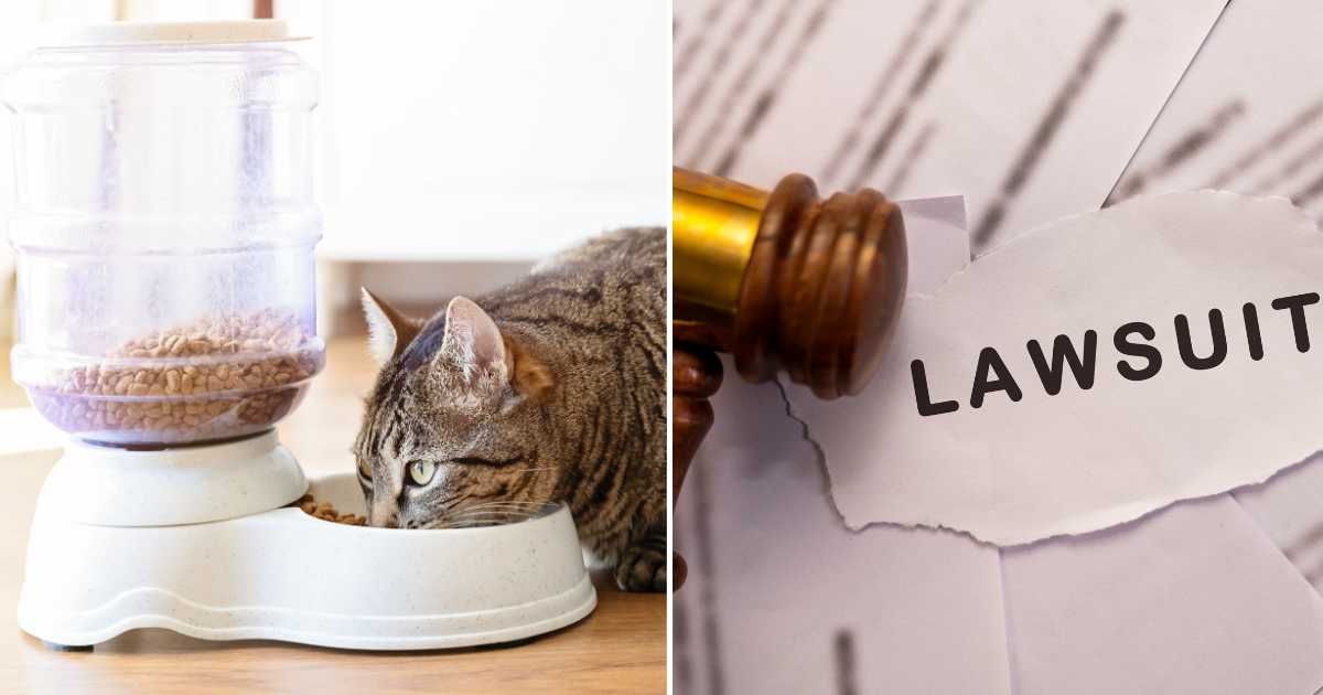 (L) A cat eating from pet food container. (R) A lawsuit. (Representative Cover Image Source: Getty Images | (L) Cris Canton, (R) Raja J)