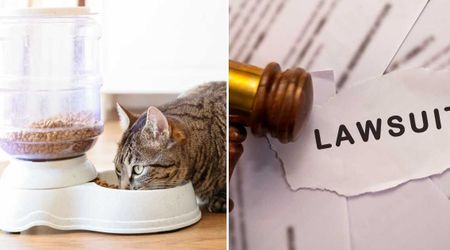 Lawsuit over ‘unsafe’ pet food containers on Amazon claims they can 'trap' tiny pets inside — even lead to 'suffocation'