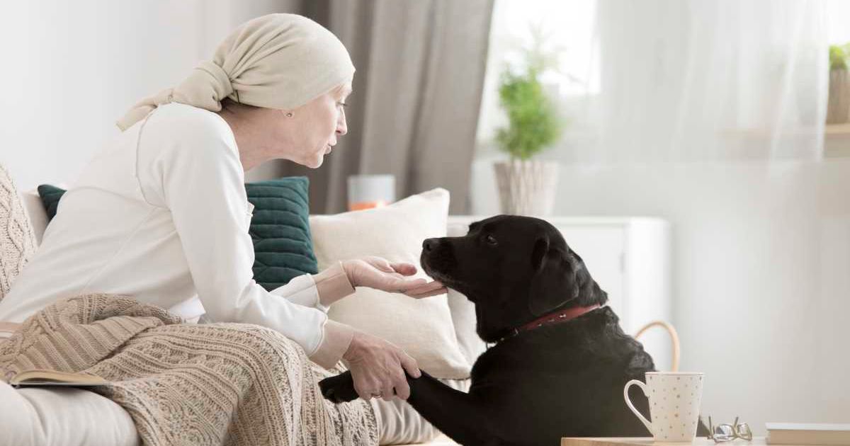 A cancer patient petting her dog (Representative Cover Source: Getty Images | Photo by KatarzynaBialasiewicz) 