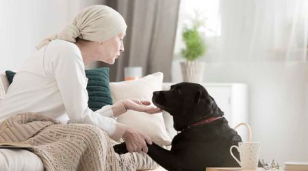 Cancer patient shares their dog’s heartbreaking reaction to sensing their tumors — and his desperate silent warning