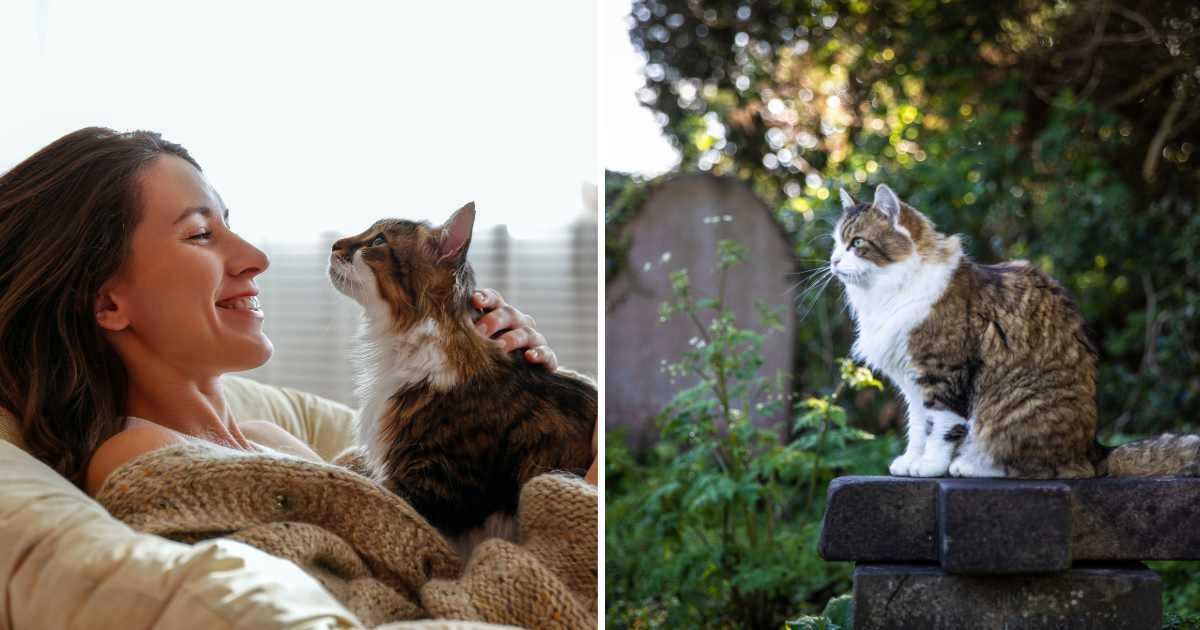 (L) A woman smiling with her pet cat. (R) A cat sitting near a grave. (Representative Cover Image Source: Getty Images | (L) evrymmnt, (R) mimi van praagh)