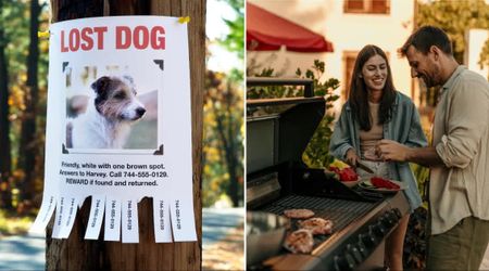 Newlywed's dog missing for 30 days was traced near alligator territory — then they grilled burgers outside an apartment, and the unbelievable happened