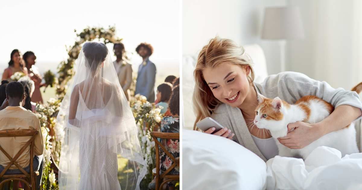 (L) A wedding. (R) A woman using her phone next to her pet cat. (Representative Cover Image Source: Getty Images | (L) Klaus Vedfelt, (R) dolgachov)