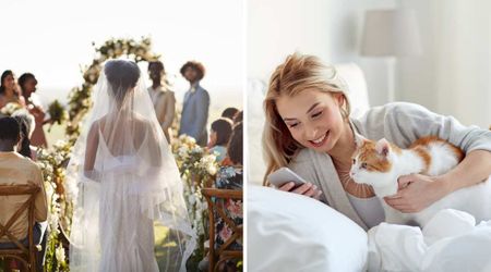 Woman unexpectedly met a fellow cat lover at her friend’s wedding — and one text she sent him about his pet that night changed their lives forever