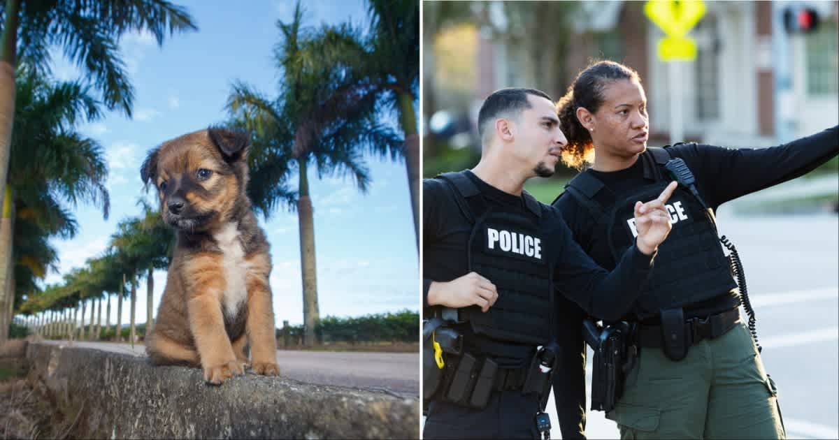 (L ) A small dog on the street; (R) Cops looking over the other side. (Representative Cover Source: Getty Images | Photo by (L) Paul Mansfield Photography; (R) kali9)