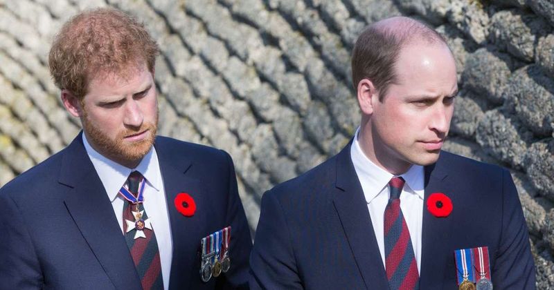 Harry Is ‘Very Good at Being Prince’ But Expert Warns William Will Ultimately Play 'Decider'