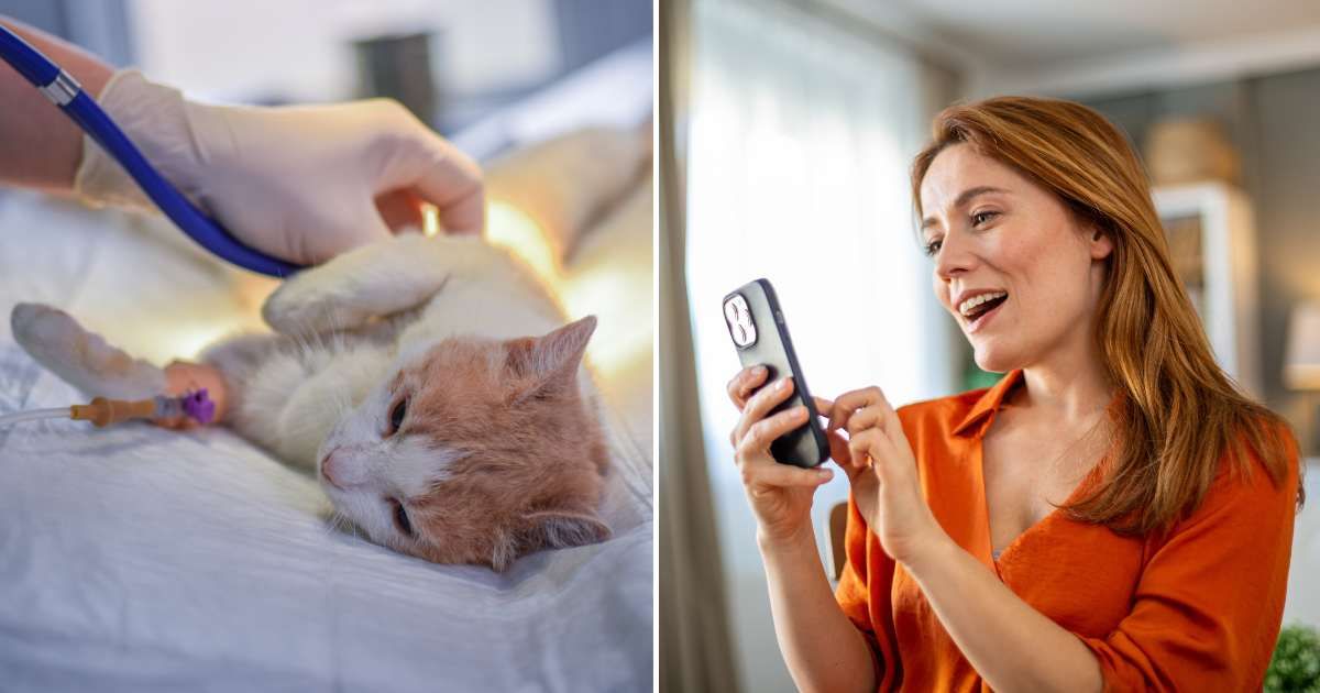 (L) A sick at getting treatment. (R) A woman looking at her phone and smiling. (Representative Cover Image Source: Getty Images | (L) Predrag Popovski, (R) draganab)