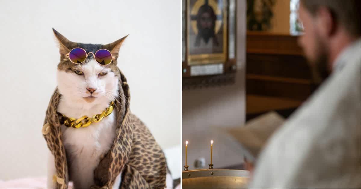 (L ) A cat wearing a coat with sunglasses and a chain ; (R) A priest at church (Representative Cover Source: (L) Getty Images (R) Pexels | Photo by (L) MamiGibbs ; (R) Ron Lach)